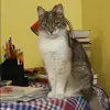 Отзыв от Василиса Фадеева